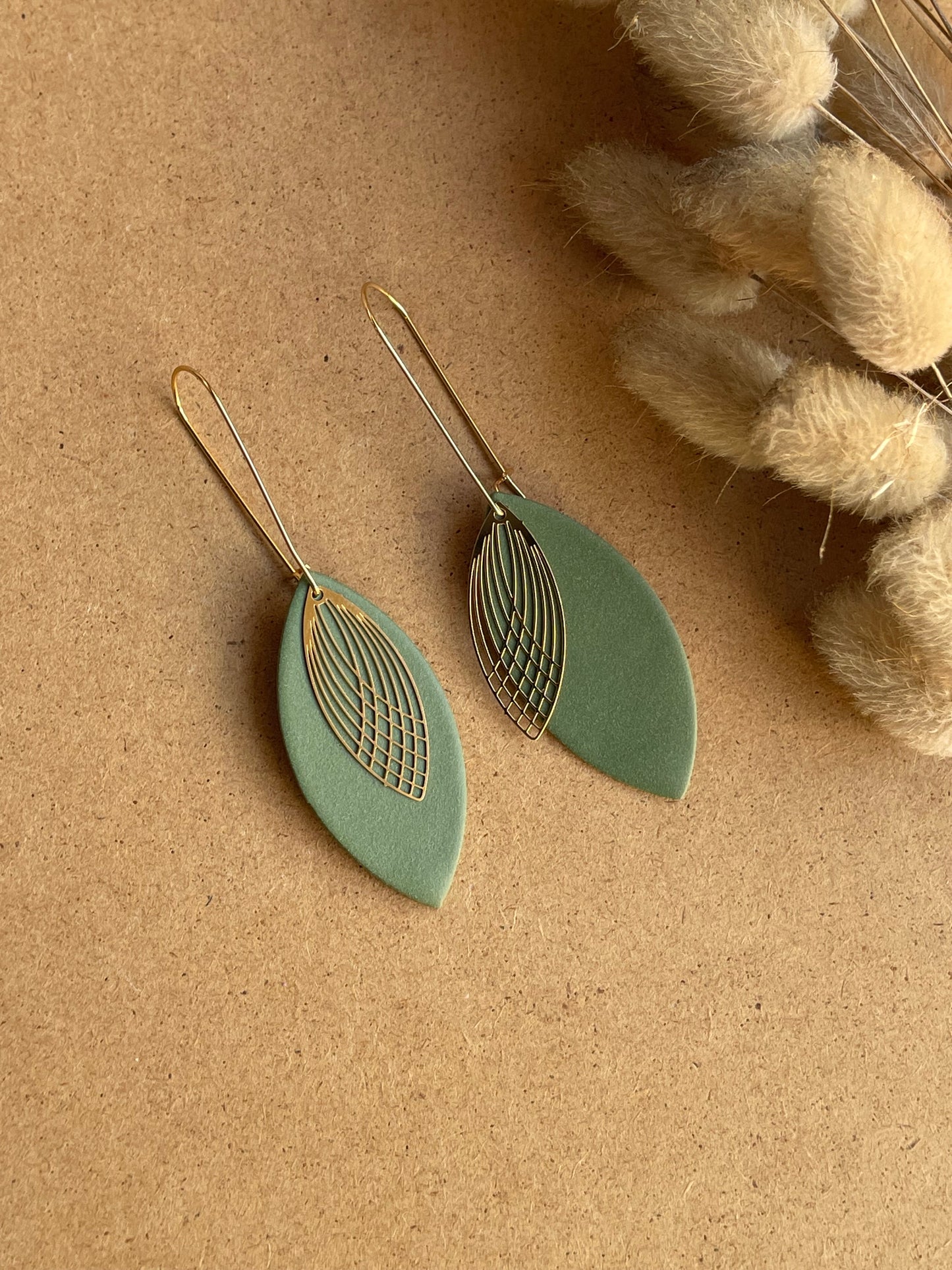 Interchangeable Colour Earrings