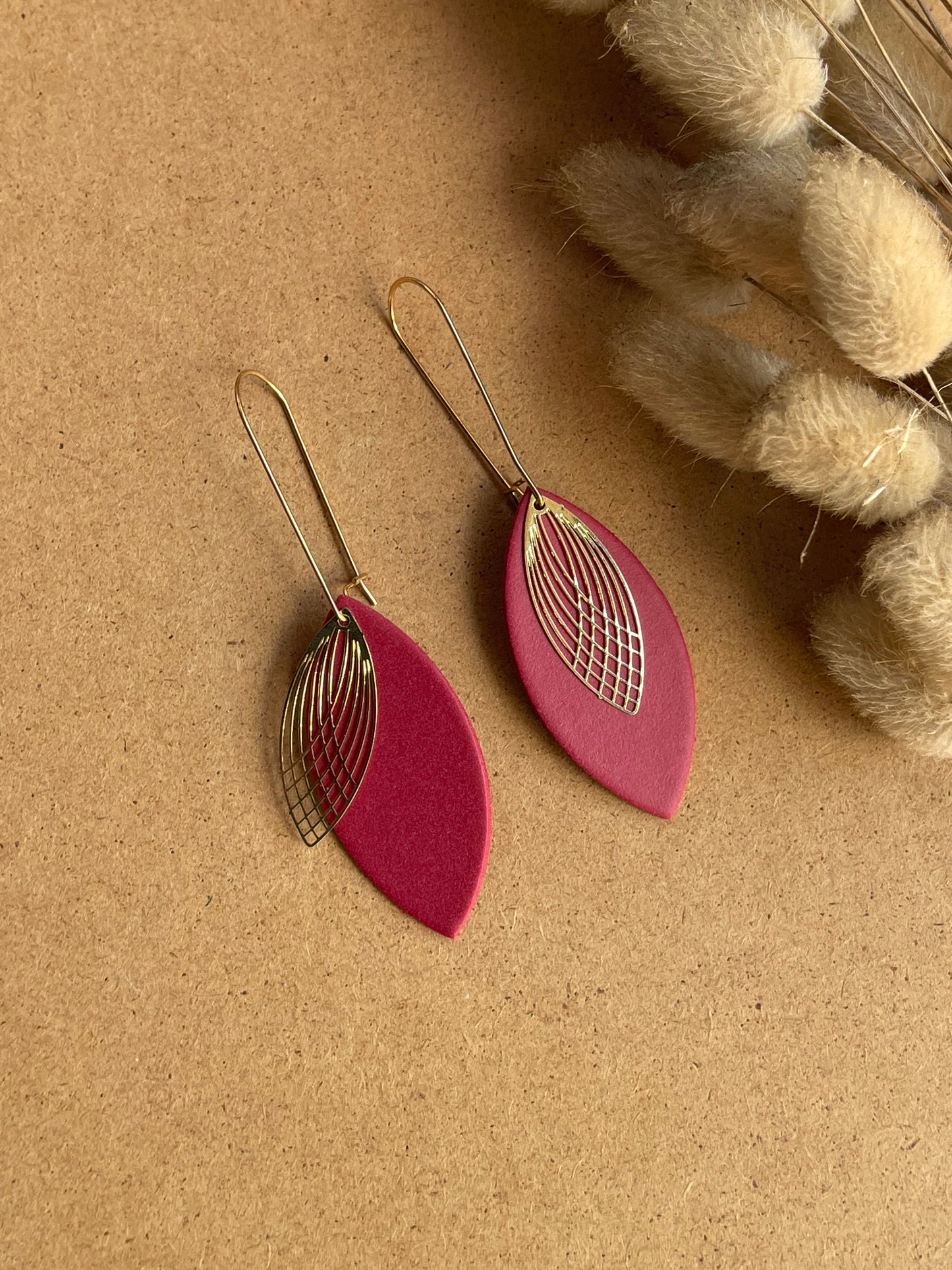 Interchangeable Colour Earrings