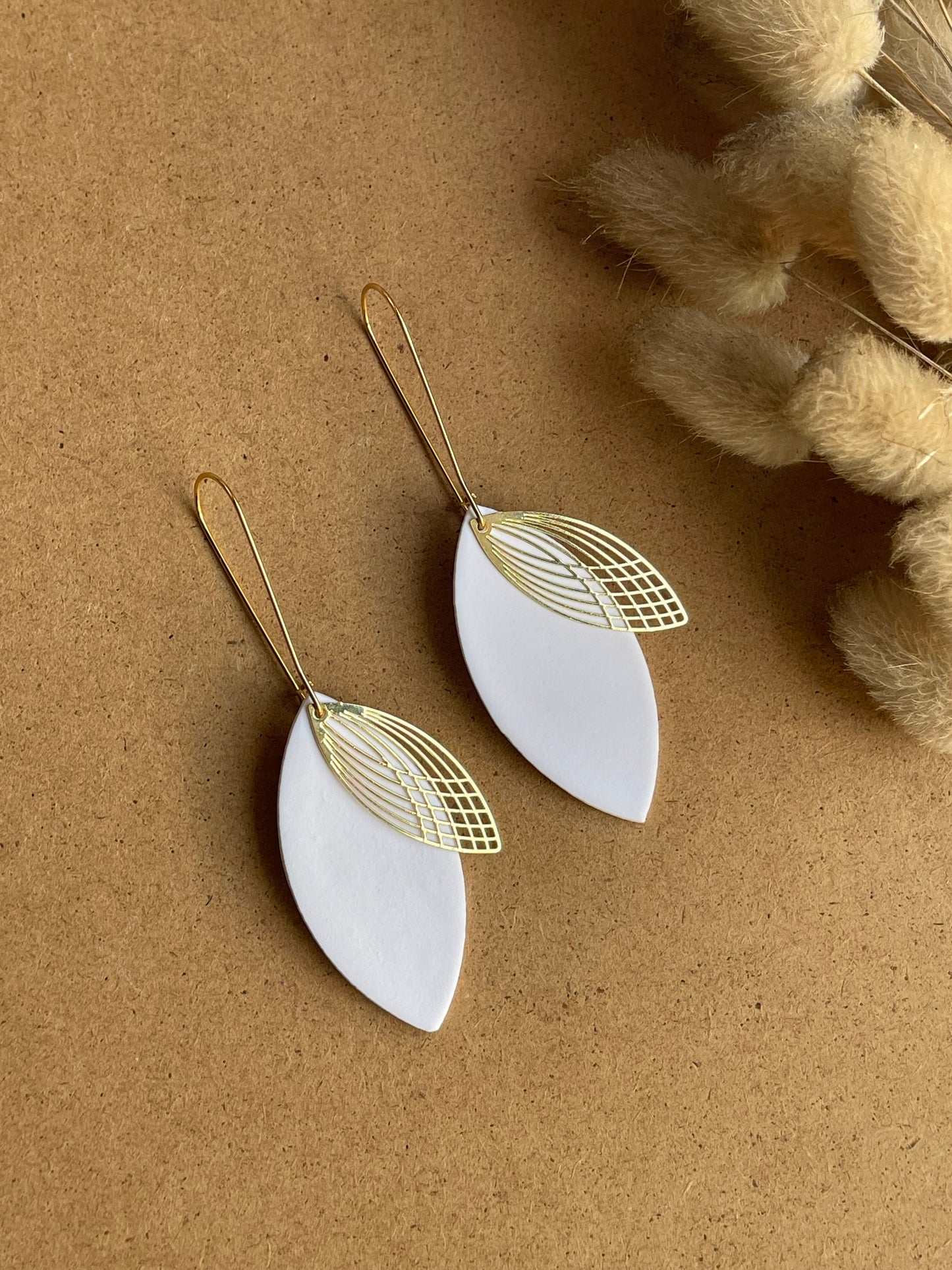 Interchangeable Colour Earrings