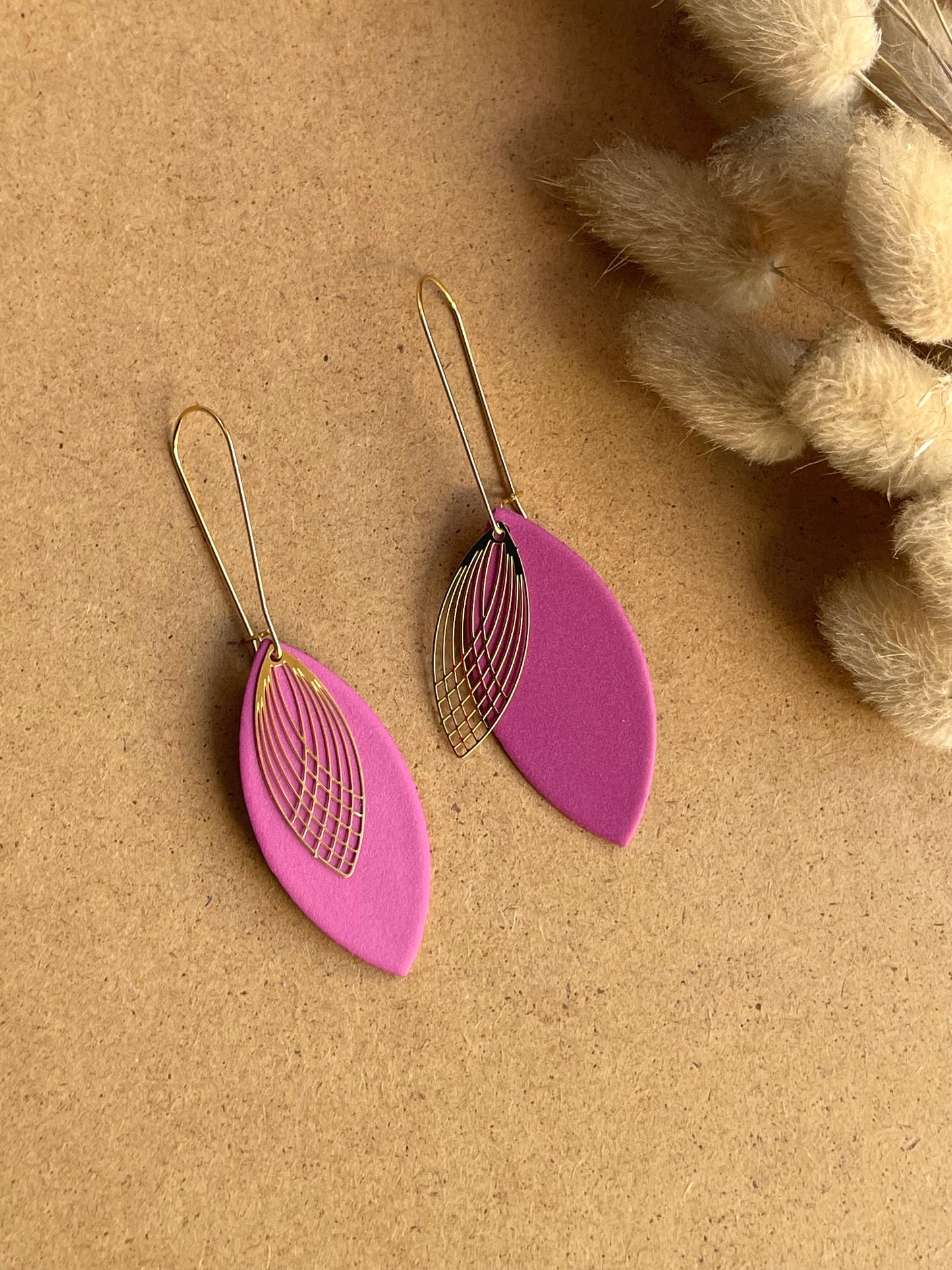 Interchangeable Colour Earrings