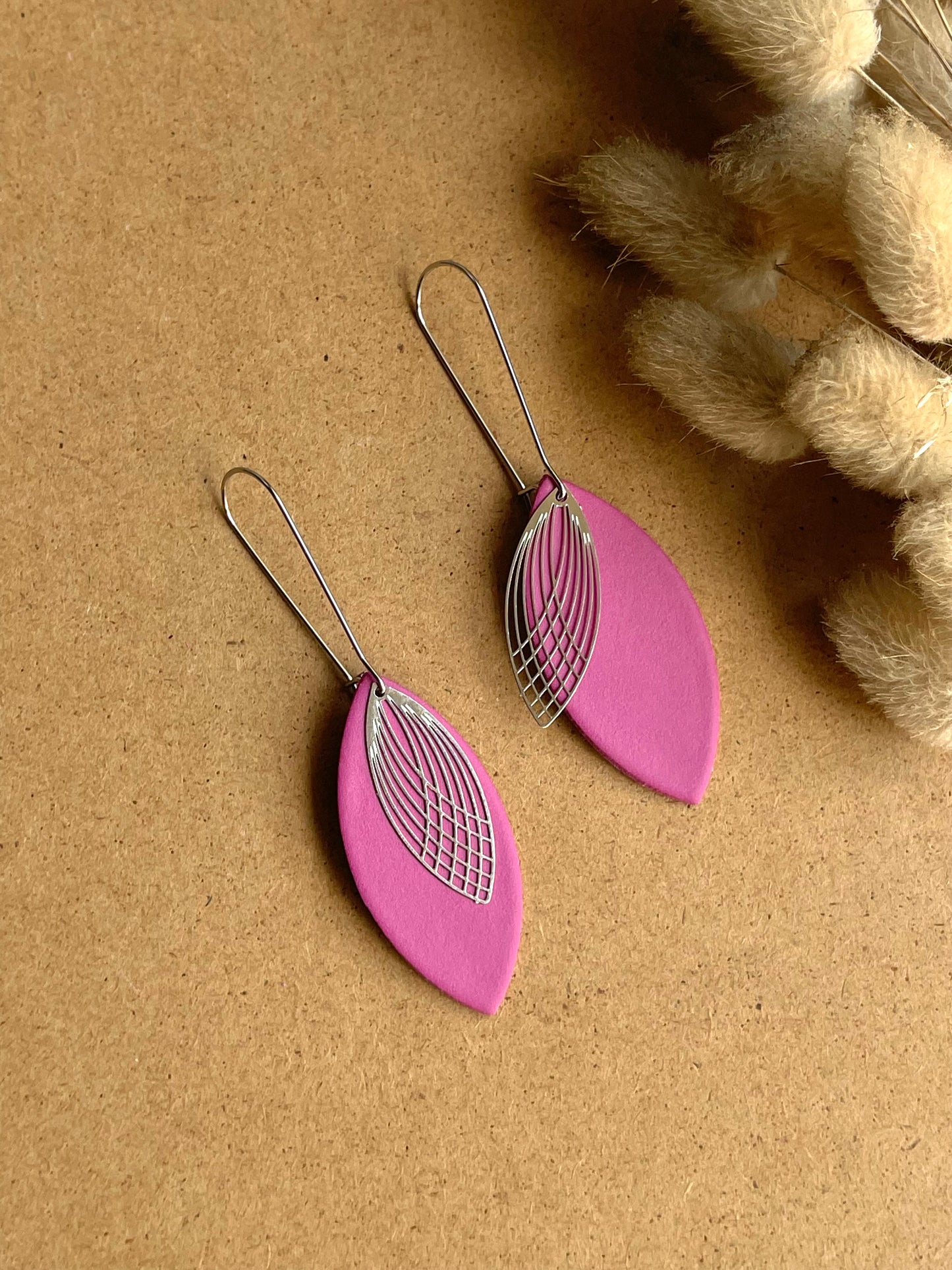 Interchangeable Colour Earrings